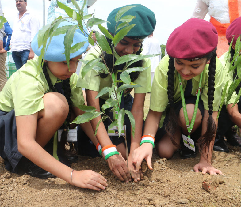 Green spaces and environmentally conscious design